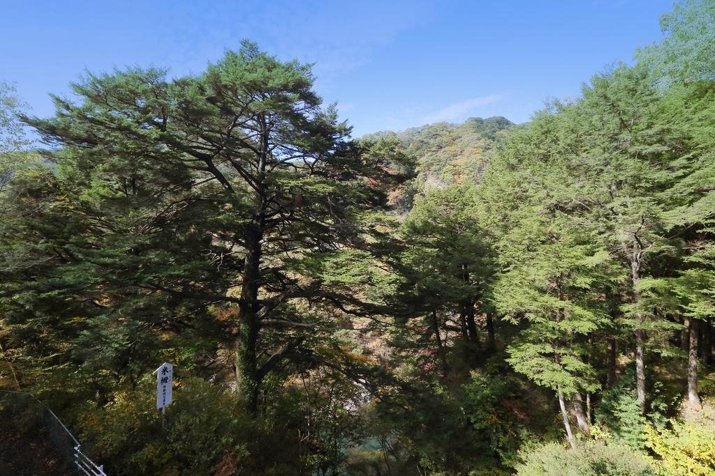 Tsuganoki Hotel Nikko Exterior foto